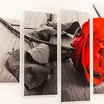 Flower Mantua
