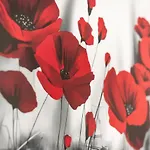Daire Flower Mantua
